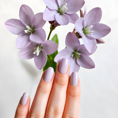 Lilac Blossom