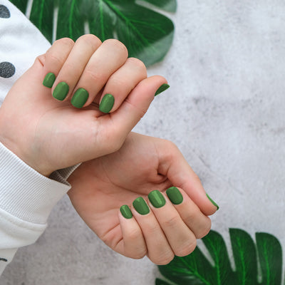 FOREST FERN - UV 069