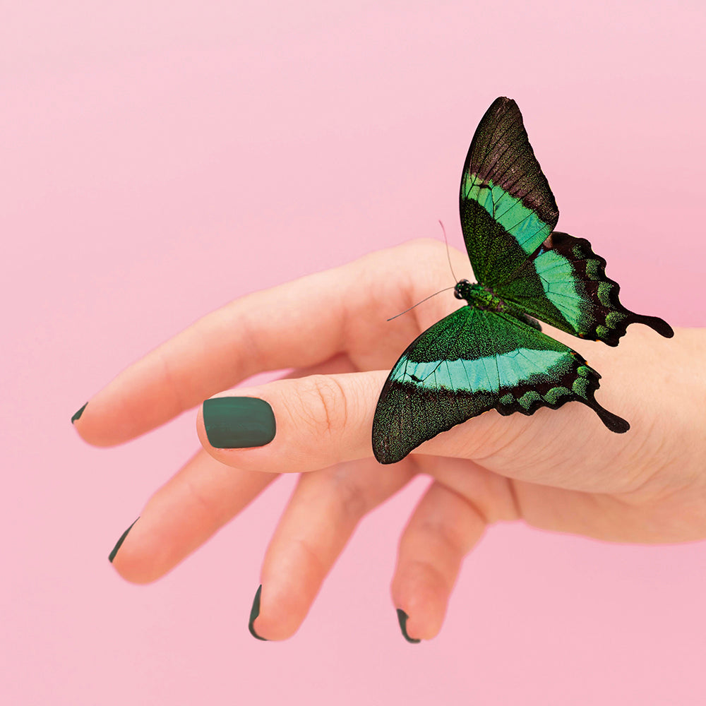 PINE GREEN - UV 097