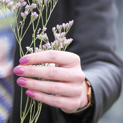 Crocus Cream