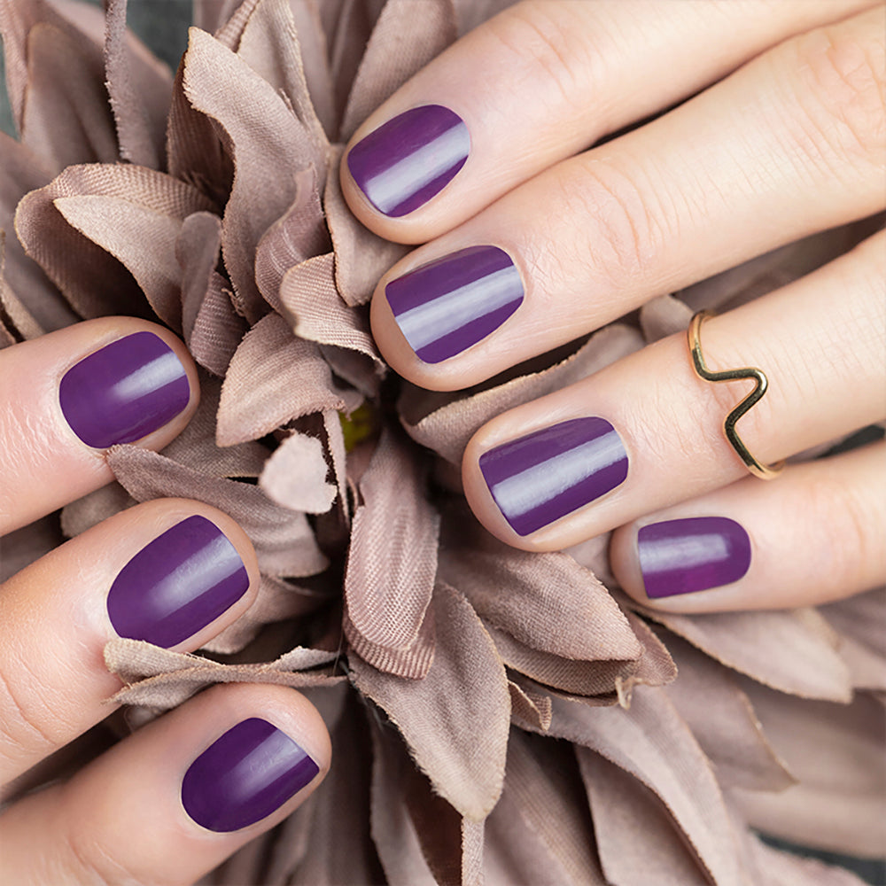 Midnight Purple